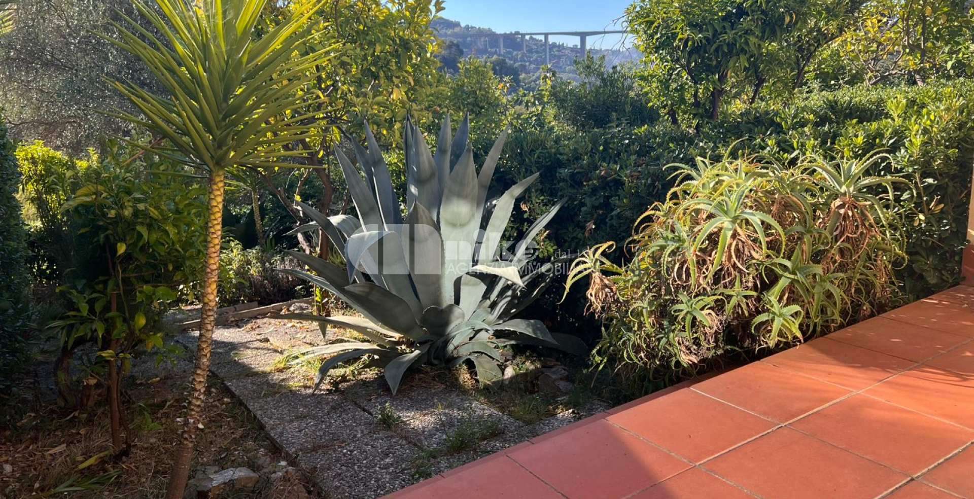 appartamento con giardino 
