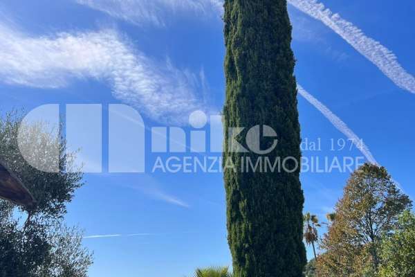 Villa in collina con vista mare thumbnail
